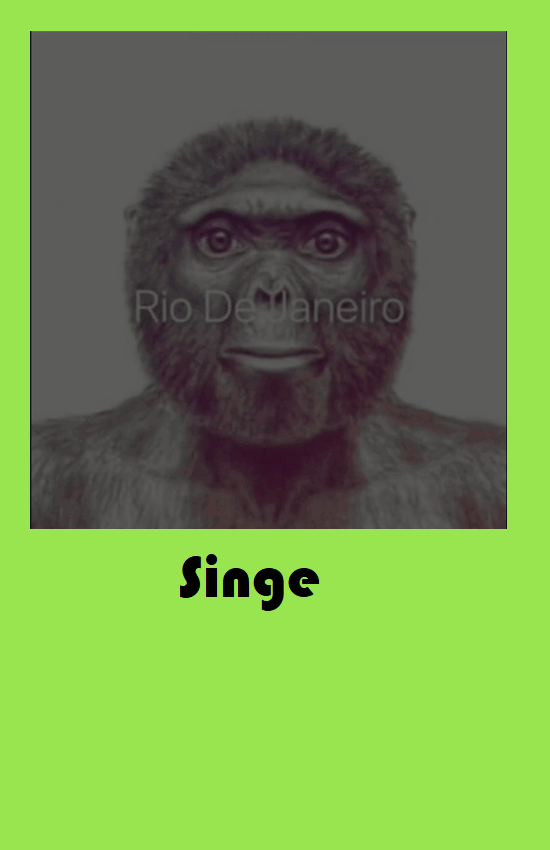 singe.png