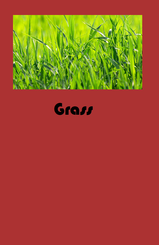 grass.png